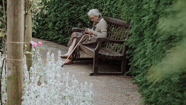 LifeBook loneliness photo andreea popa unsplash