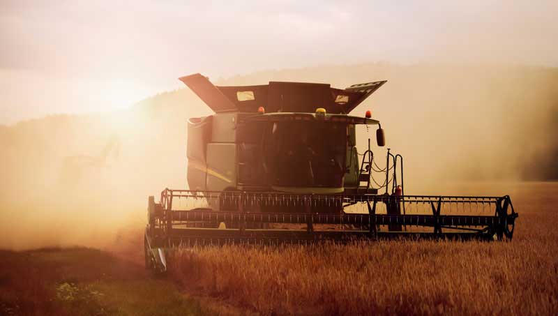 lifebook-harvest-night-robert-wiedemann-unsplash