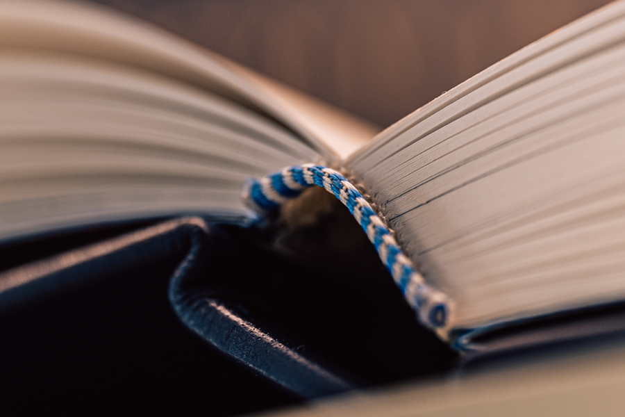 A close-up photograph of the spine of a hand-stiched and leather-bound book