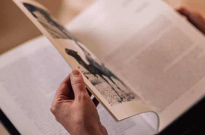 Reading a memoir