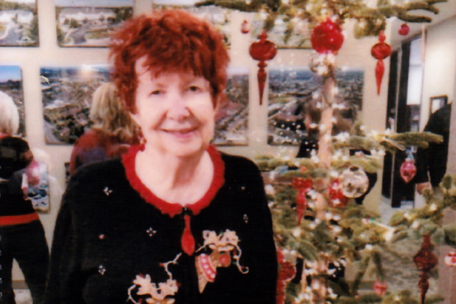 LifeBook private autobiography author Carol Knox